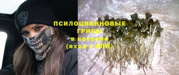 СК Горняк